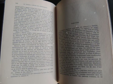 SUR LES ROUTES D ' AFRIQUE De la Méditerranée au Congo Avec 32 illustrations en hors texte . BUHLER Jean