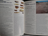 ARCHEOLOGIE AUX EMIRATS ARABES UNIS ARCHAELOGY IN THE UNITED ARAB EMIRATES