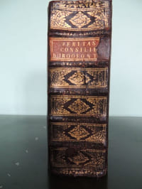VERITAS CONSILII BURGOFONTE initi ex ipsa hujus executione demonstrata, seu verum systema Jansenismi et evolutio mysterii iniquitatis, opus Gallico primum sermone conscriptum, nunc publicæ utilitatis caussa Latine redditum .