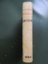 DELLE LETTERE DI M. ANDREA CALMO