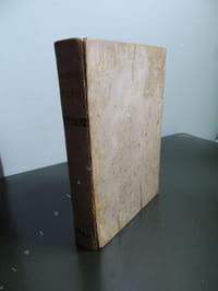 DELLE LETTERE DI M. ANDREA CALMO