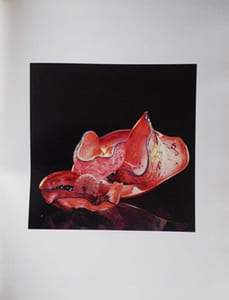 Dale Chihuly. Objets de verre. 