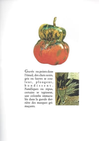 Hervé Dupont. Rêves de verre.