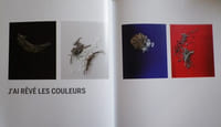 Patrick Forfait, maître verrier. " Constellations ".