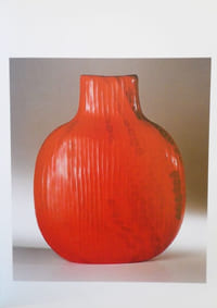 Massimo Micheluzzi. Rouge.