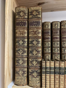 Journal du Palais ou recueil des principales décisions de tous les parlements et cours souveraines de France, sur les questions les plus importantes de droit civil, de coutume, de matières criminelles et bénéficiales et de droit public