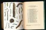 Petit atlas des lépidoptères de France. 3 volumes. ANGEL F 