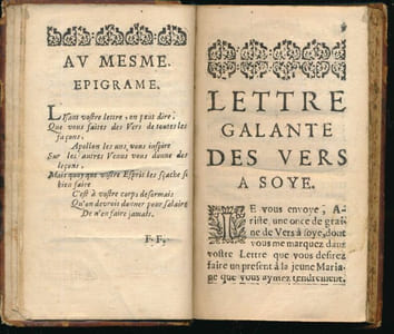 Lettre galante des vers a soye