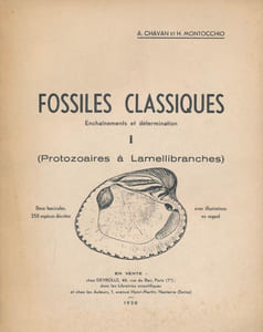 Fossiles classiques. Enchainements et determination