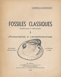 Fossiles classiques. Enchainements et determination