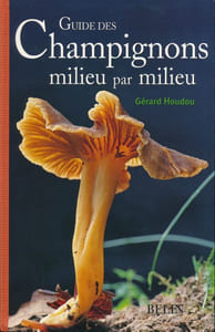 Guide des chapignons milieu par milieu