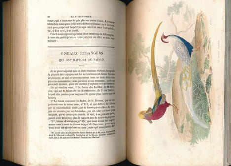 Oeuvres complètes de Buffon. Tomes XV et XVI seuls. Oiseaux . BUFFON 