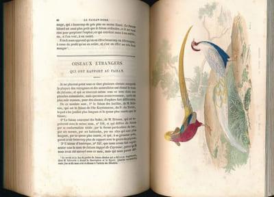 Oeuvres complètes de Buffon. Tomes XV et XVI seuls. Oiseaux