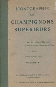 Iconographie des champignons supérieurs. Volume V