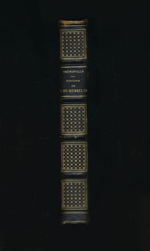Histoire de Bertrand du Guesclin, Connétable de France et de Castille considérée principalement sous le rapport stratégique, poliorcétique et ...