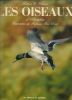 Les oiseaux d'Audubon. CLEMENT Roland C
