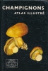 Champignons. Atlas illustré. PILAT Albert