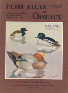 Petit atlas des oiseaux. Fascicule IV. Bécasseaux, goélands, canards, hérons, impennes, ratites