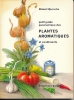 Petit guide panoramique des plantes aromatiques et condiments. QUINCHE Robert