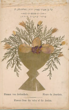 Flowers of the holy land. Jerusalem . COLLECTIF 