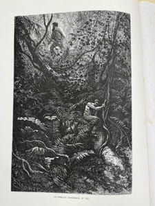 La Guyane Française. Notes et souvenirs d'un voyage exécuté en 1862 - 1863