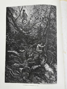 La Guyane Française. Notes et souvenirs d'un voyage exécuté en 1862 - 1863. BOUYER Frédéric