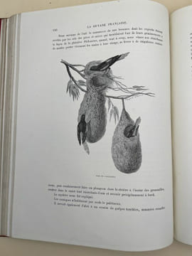 La Guyane Française. Notes et souvenirs d'un voyage exécuté en 1862 - 1863. BOUYER Frédéric