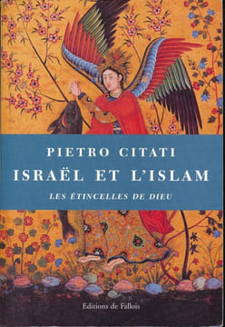 Israël et l'Islam: Les étincelles de Dieu. CITATI Pietro