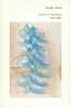Loisirs et brouillons 1964 - 1984. BUTOR Michel 