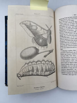 Annales de la société séricicole, fondée en 1837, pour l'amélioration et la propagation de l'industrie de la soie en France. 1837 - 1851. 11 volumes. ...
