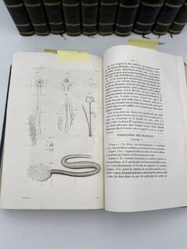 Annales de la société séricicole, fondée en 1837, pour l'amélioration et la propagation de l'industrie de la soie en France. 1837 - 1851. 11 volumes. ...