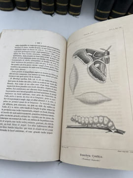 Annales de la société séricicole, fondée en 1837, pour l'amélioration et la propagation de l'industrie de la soie en France. 1837 - 1851. 11 volumes. ...