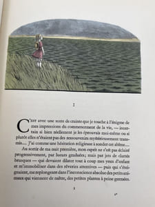 Le roman d'un enfant