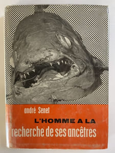 L'homme à la recherche de ses ancêtres