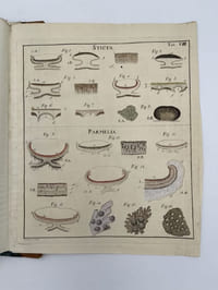 Lichenographia Universalis. In qua lichenes omnes detectos, adiectis observationibus et figuris horum vegetabilium naturam et organorum carpomorphorum structuram illustrantibus ad genera, species, varietates, differentiis et observationibue sollicite definitas. Atlas de 14 planches seul.