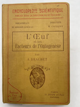 L'Oeuf et les facteurs de l'Ontogénèse . BRACHET A