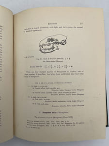Manual of the mammals of Ceylon