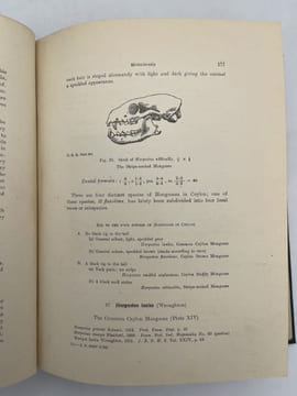 Manual of the mammals of Ceylon . PHILLIPS W. W. A.