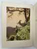 Lettres de mon moulin. DAUDET Alphonse