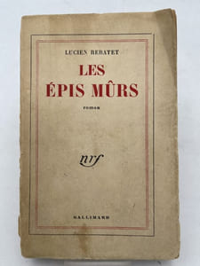 Les épis murs
