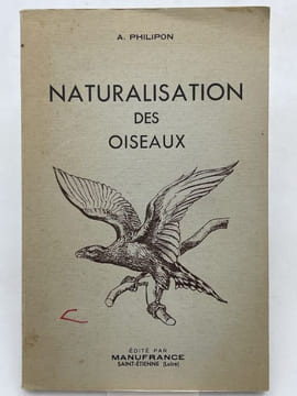 Naturalisation des oiseaux . PHILIPON A.
