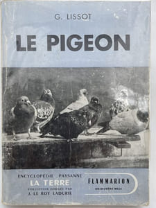 Le pigeon