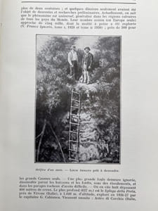 Les Causses Majeurs. Gorges du Tarn et Cévennes, canyons et ruinifores, âbimes et cavernes, rivières souterraines et résurgences