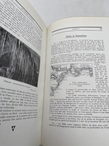 Les Causses Majeurs. Gorges du Tarn et Cévennes, canyons et ruinifores, âbimes et cavernes, rivières souterraines et résurgences