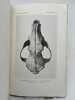 East African Mammals in the United States National Museum. Part I. Insectivora, chiroptera, and carnivora. HOLLISTER N 