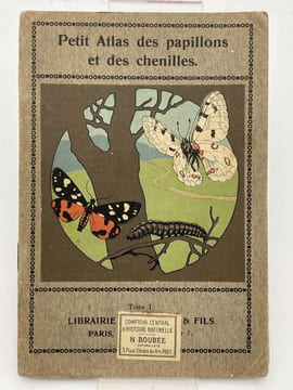Petit atlas des papillons et des chenilles. 1 . ENTOMOLOGIE ]