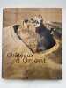 Ch&acirc;teaux d'Orient. Syrie, Liban, Jordanie. MESQUI Jean 