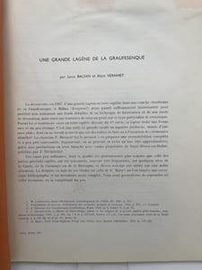 Une grande lagène de la Graufesenque