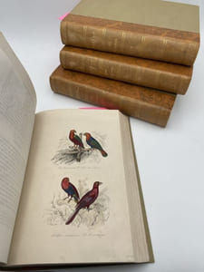 Oeuvres complètes de Buffon. 4 volumes Les Oiseaux