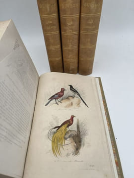 Oeuvres complètes de Buffon. 4 volumes Les Oiseaux. BUFFON 